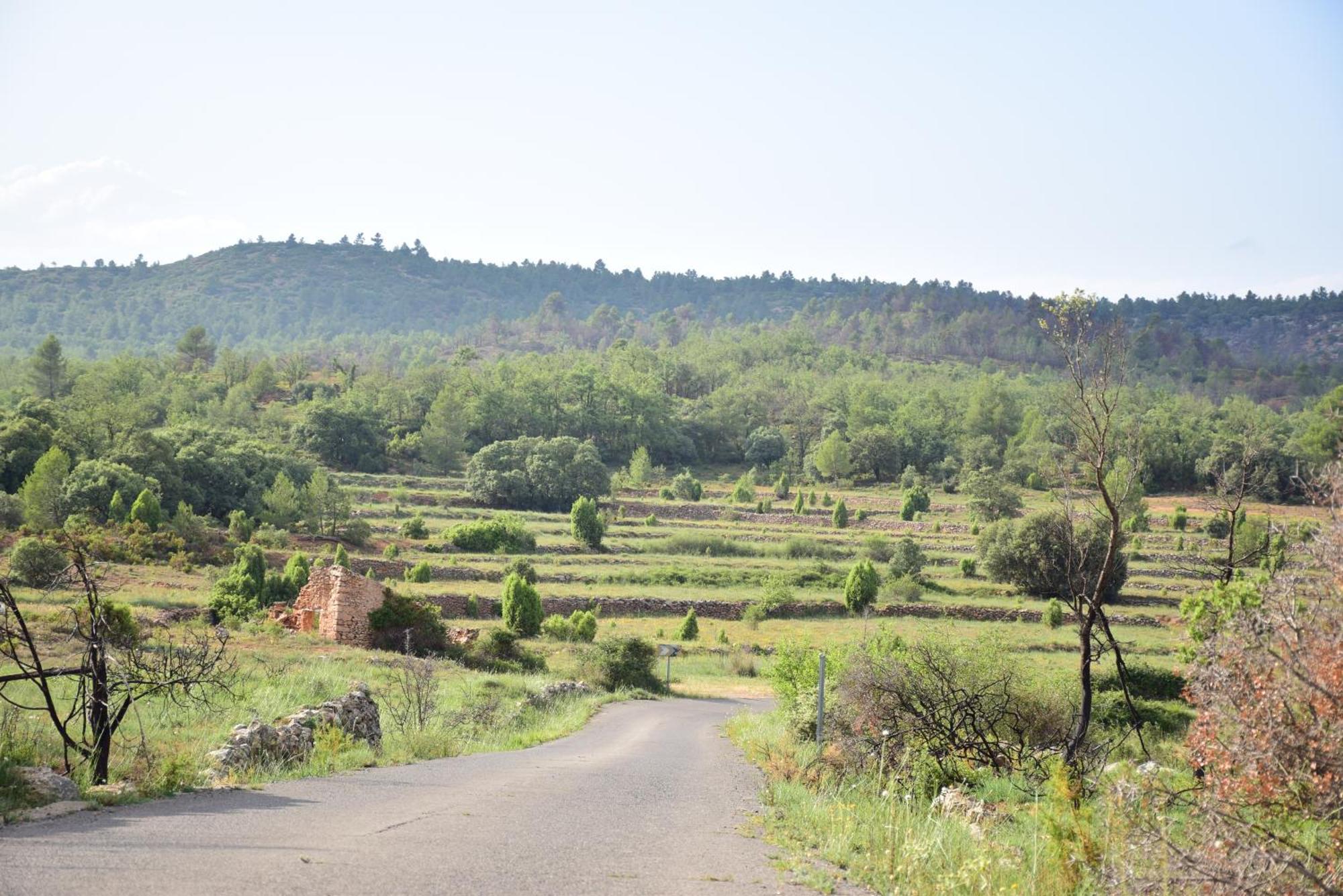 Oasis Rural Villa Los Pastores Ngoại thất bức ảnh